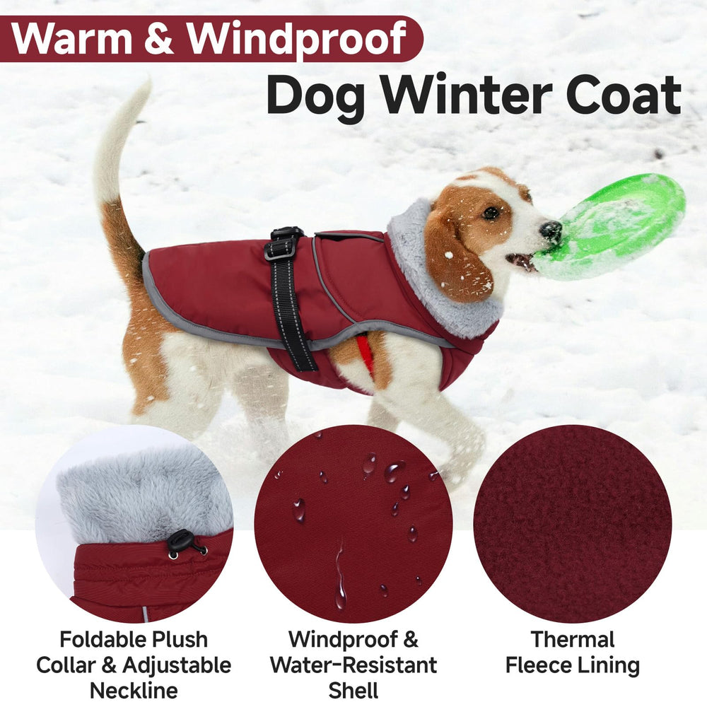 LeLePet Warm Dog Winter Coat side-buckle adjustment demonstrates easy fit customization