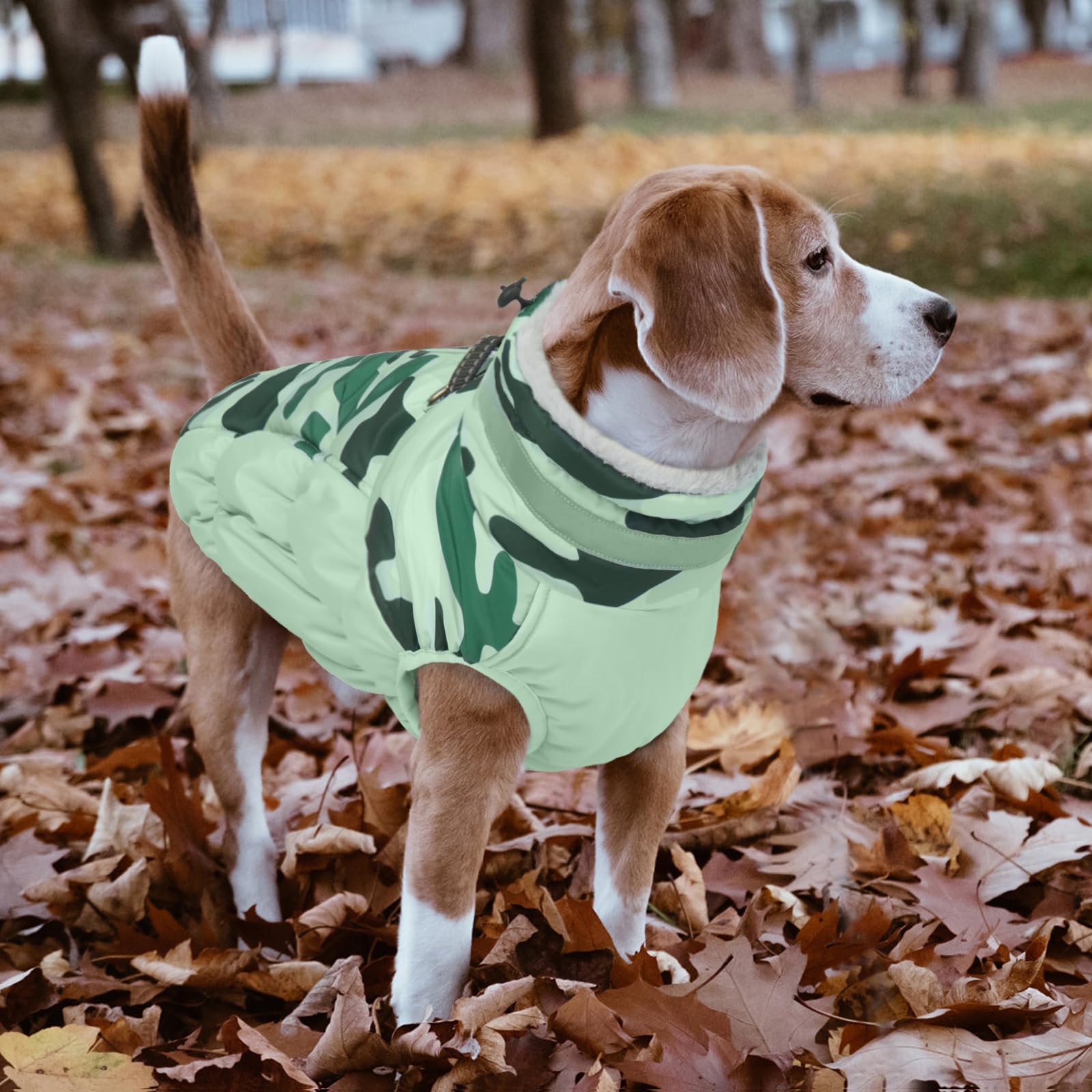 LeLePet warm dog winter coat available in seven sizes and nineteen colors