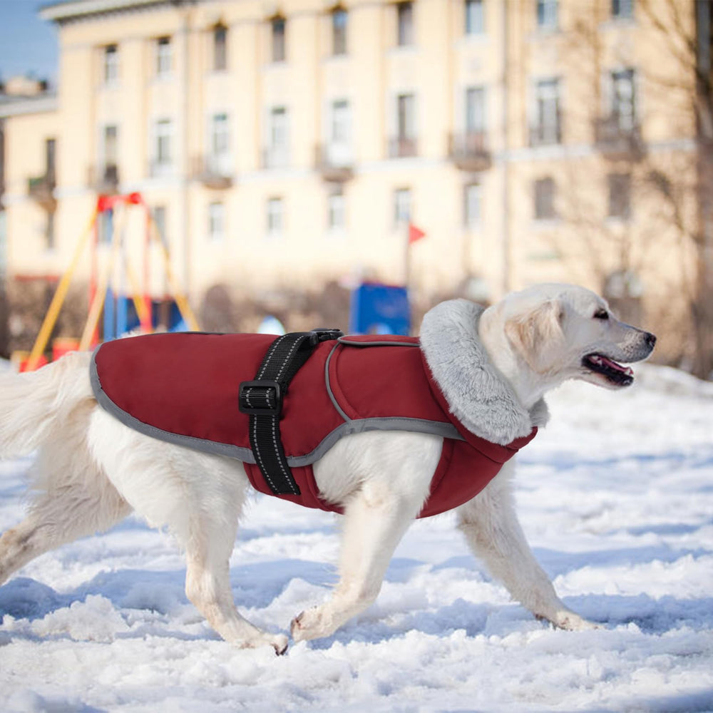 LeLePet Warm Dog Winter Coat waterproof texture closeup highlights protective outer layer