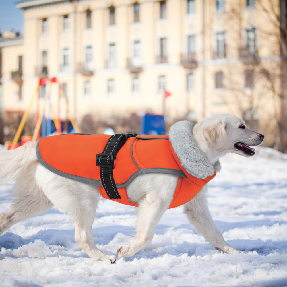 LeLePet waterproof windproof shell designed for rainy, cold days.