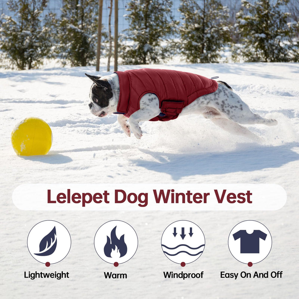 Lelepet warm lightweight dog coat, walking scene, demonstrates comfort during strolls.