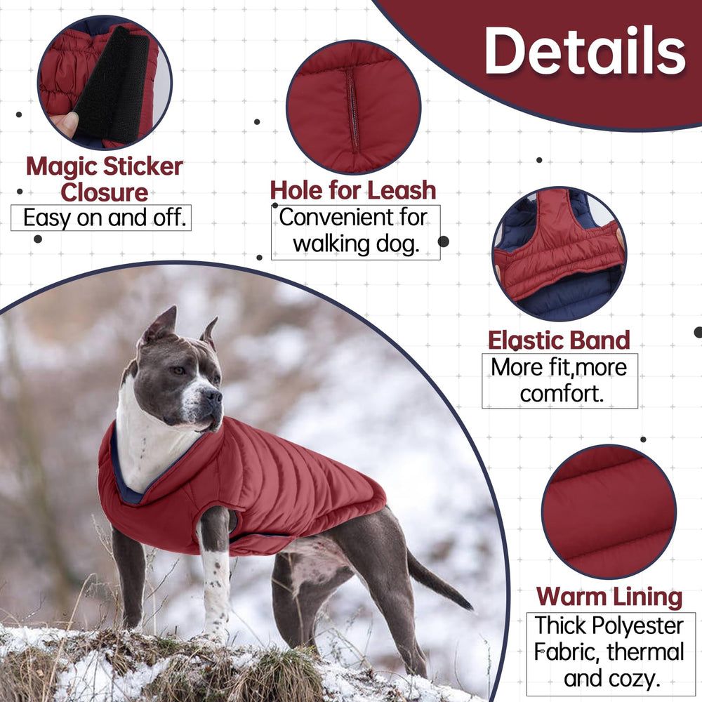 Waterproof LeLePet dog jacket in action during chilly walks.