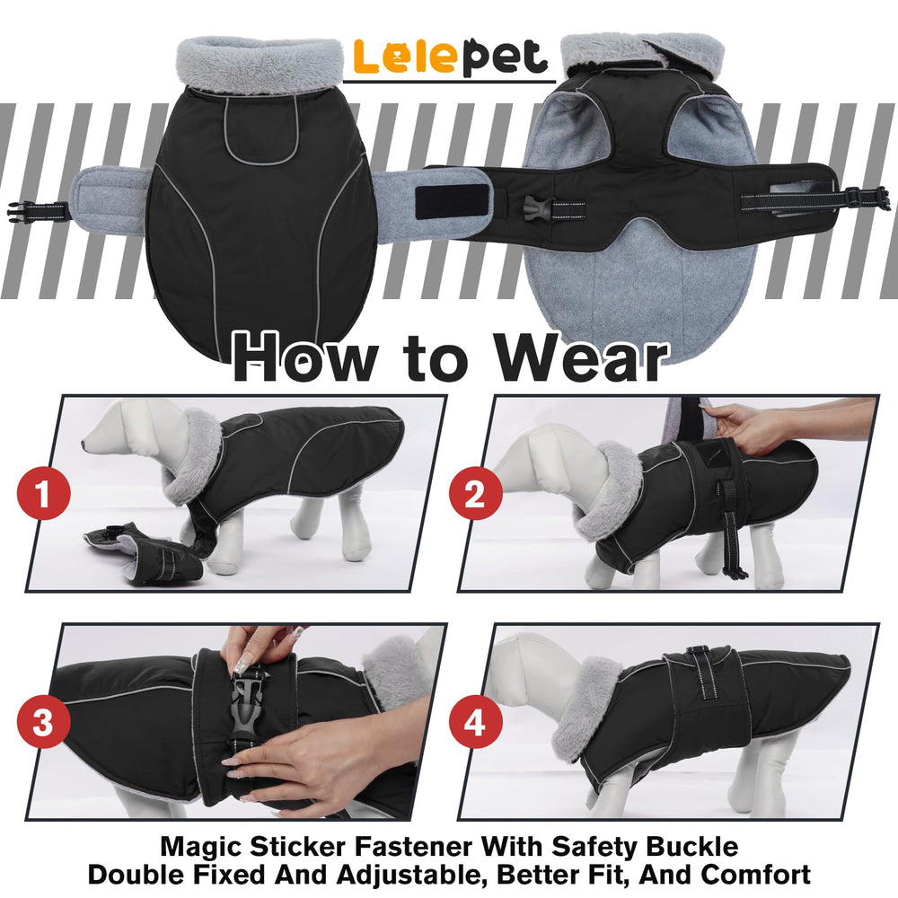 LeLePet 2XL adjustable strap demonstrates secure fit for large dogs
