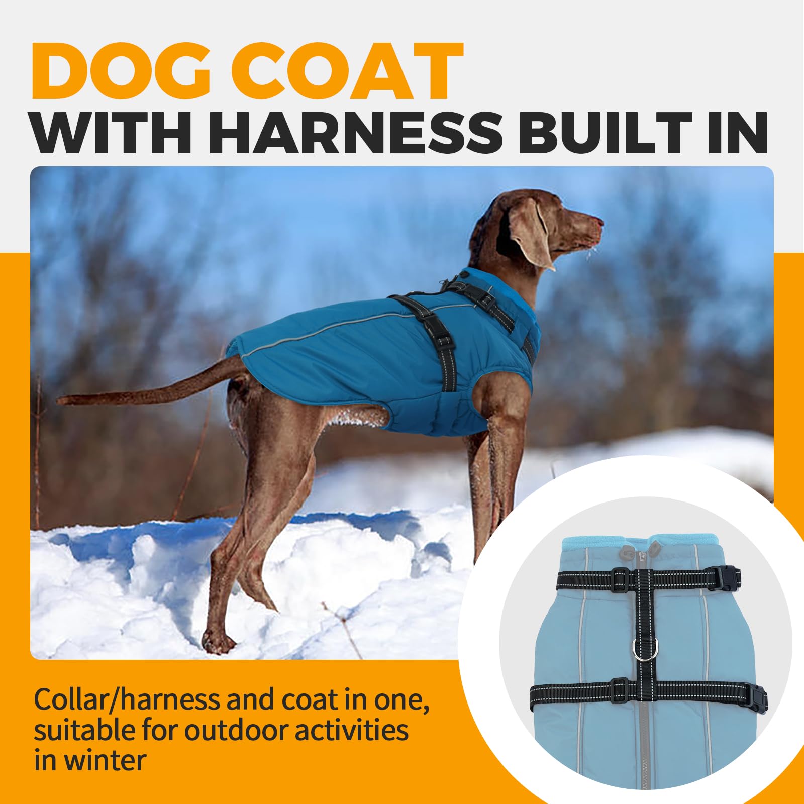 LeLePet windproof and waterproof dog coat keeps dogs warm and dry