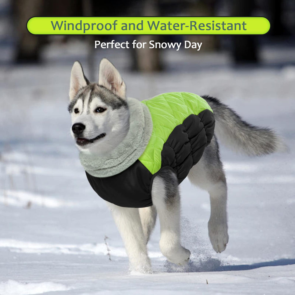 LeLePet winter coat cozy fleece lining provides snug warmth.
