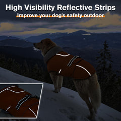 LeLePet fur-collar winter jacket showing secure buckle and snug fit.