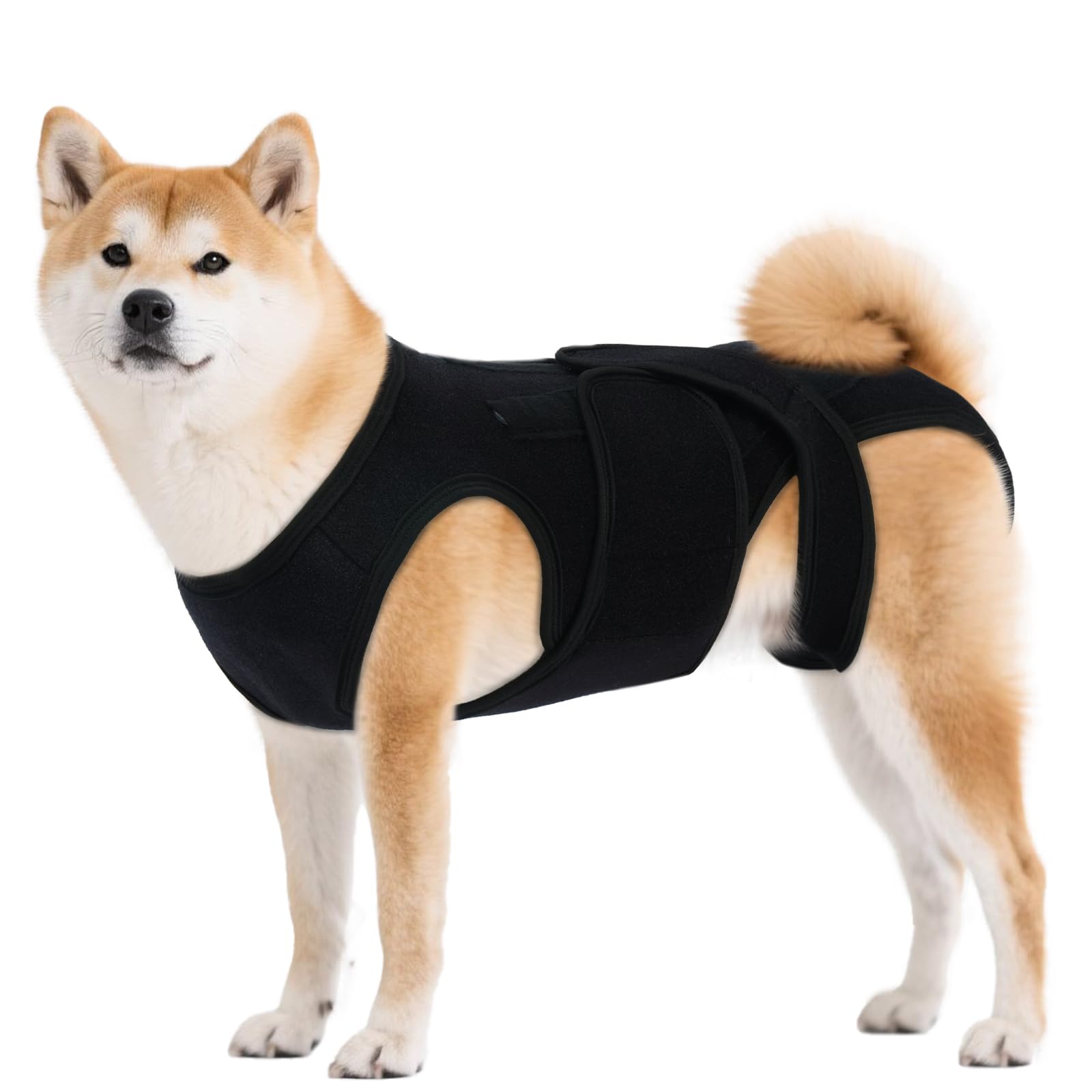 LeleTail adjustable back support medium dog during assembly for quick setup