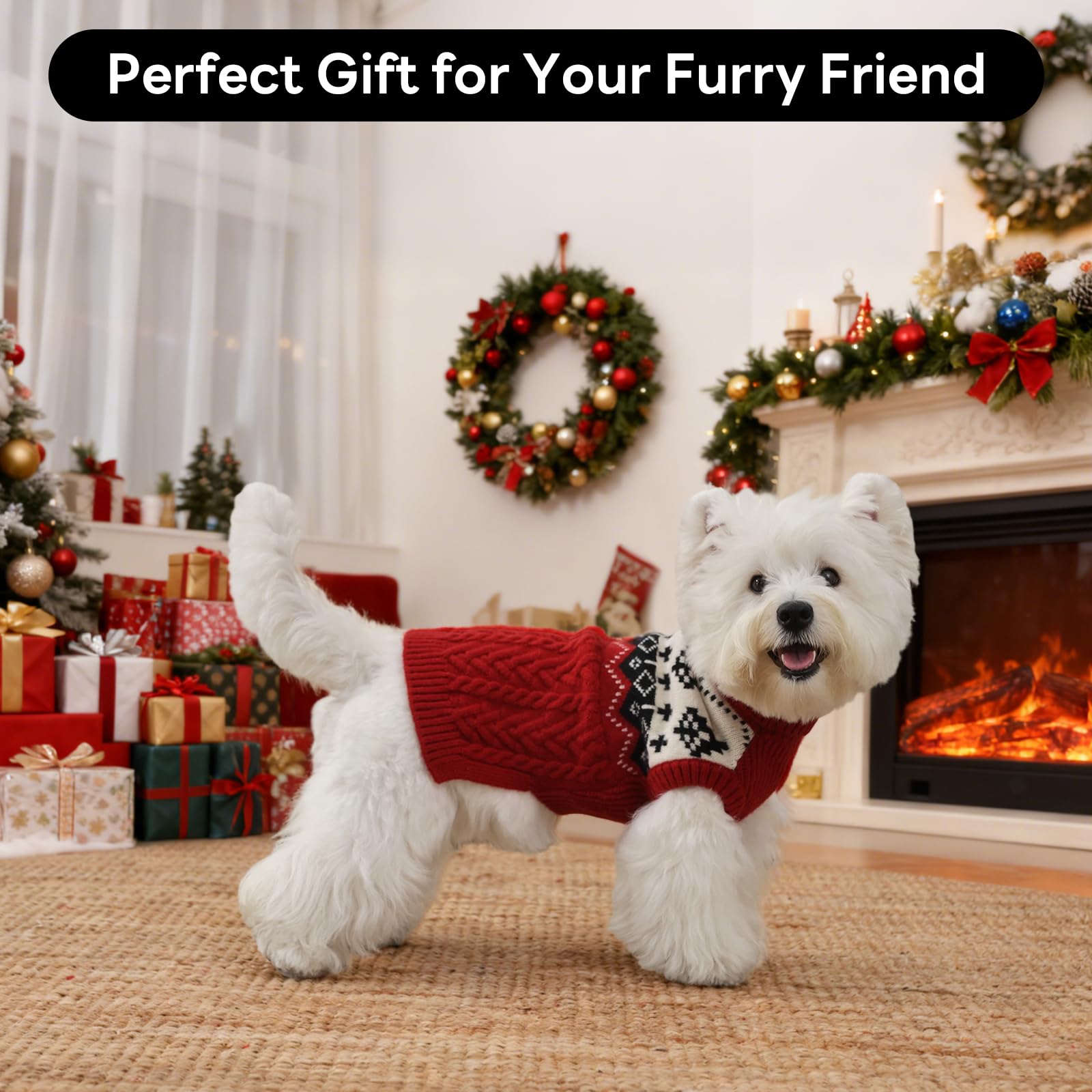 LeleTail Christmas dog sweater red M on model dog ready for holiday photos