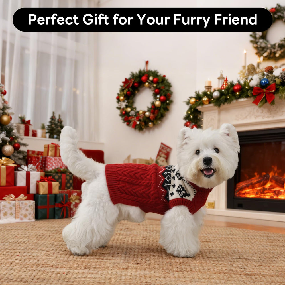 LeleTail Christmas dog sweater red M on model dog ready for holiday photos