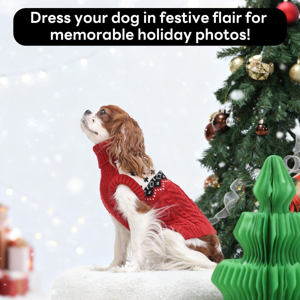 LeleTail Christmas dog sweater red M on dog in a cozy winter walk
