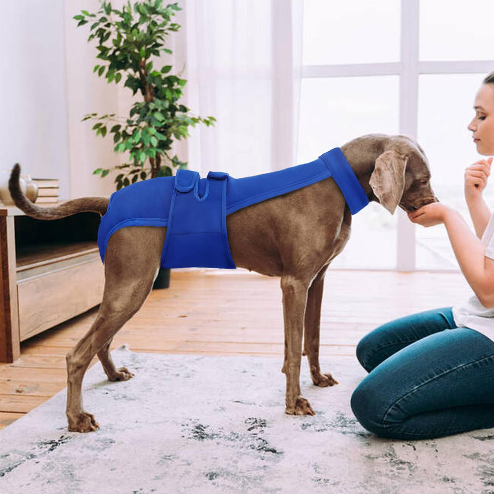 LeleTail heat-cycle-protection diaper helps manage heat cycles with secure containment