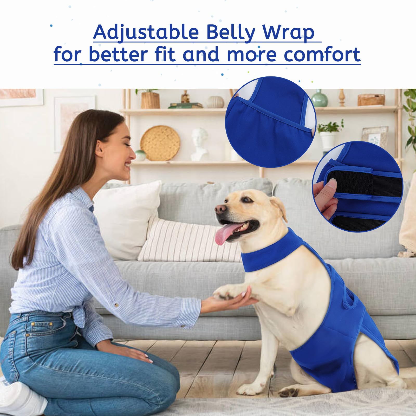 LeleTail multipurpose-use diaper supports incontinence, heat cycles, or recovery needs