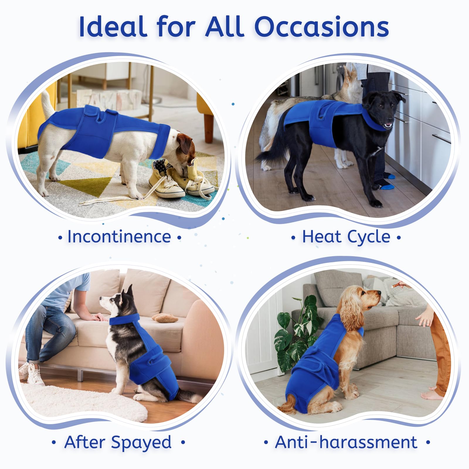 LeleTail senior-dog-care diaper aids comfort during aging and occasional leakage