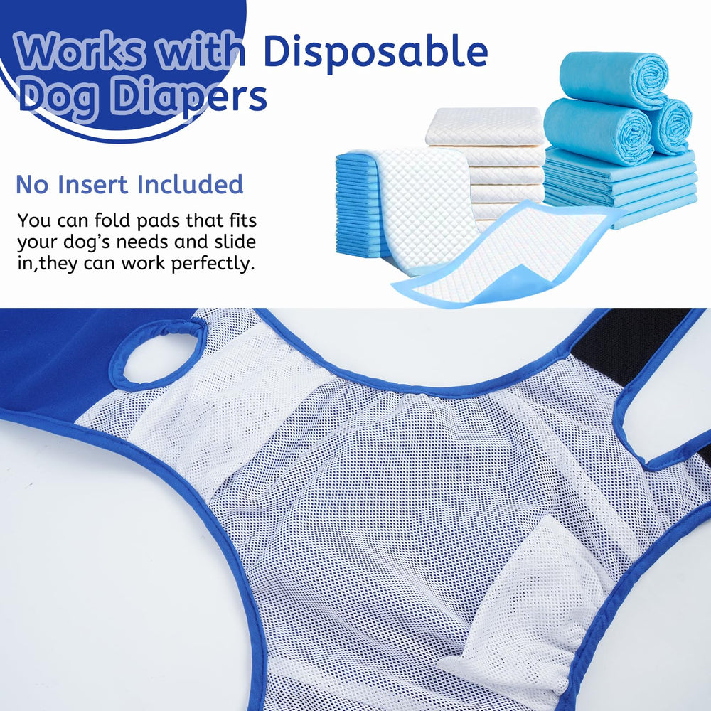 LeleTail size XS-XL range fits small to large dogs for flexible use