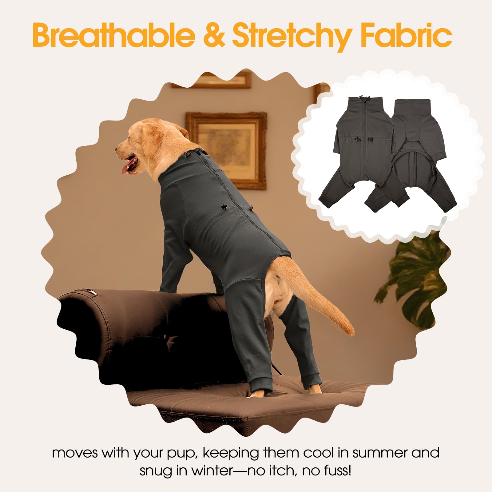 LeleTail adjustable-fit design adapts to neck and chest measurements.