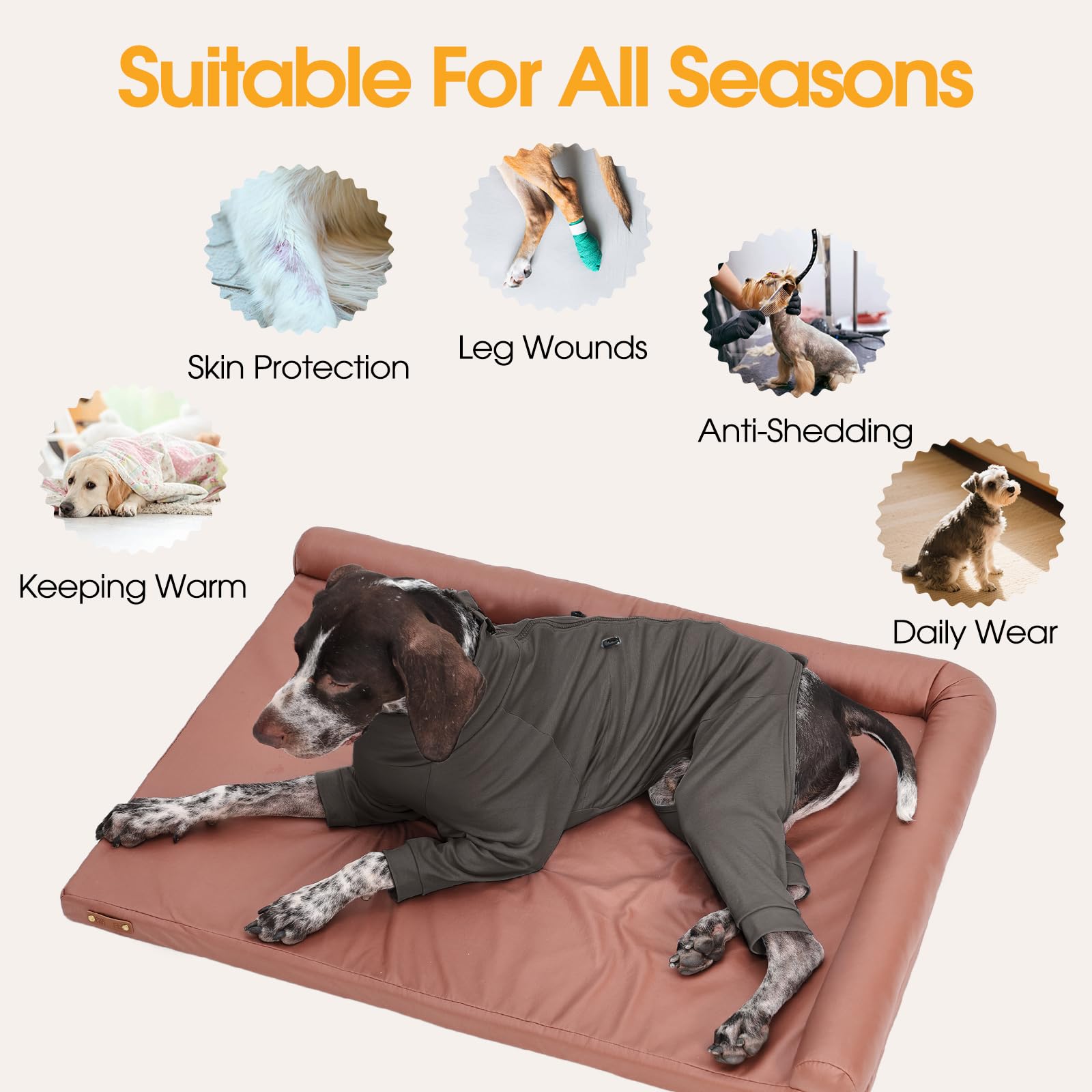 LeleTail dog pajamas easy-on-off back zipper reduces fur snag.
