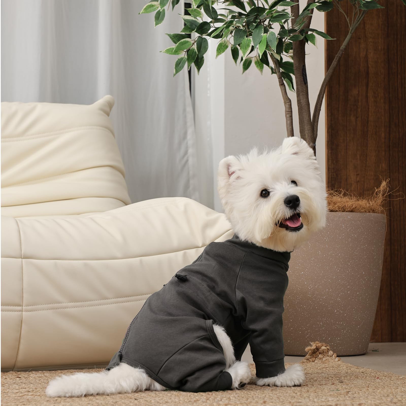 LeleTail dog pajamas support shedding control and skin-protection wear.