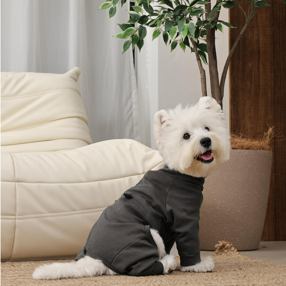 LeleTail dog pajamas support shedding control and skin-protection wear.