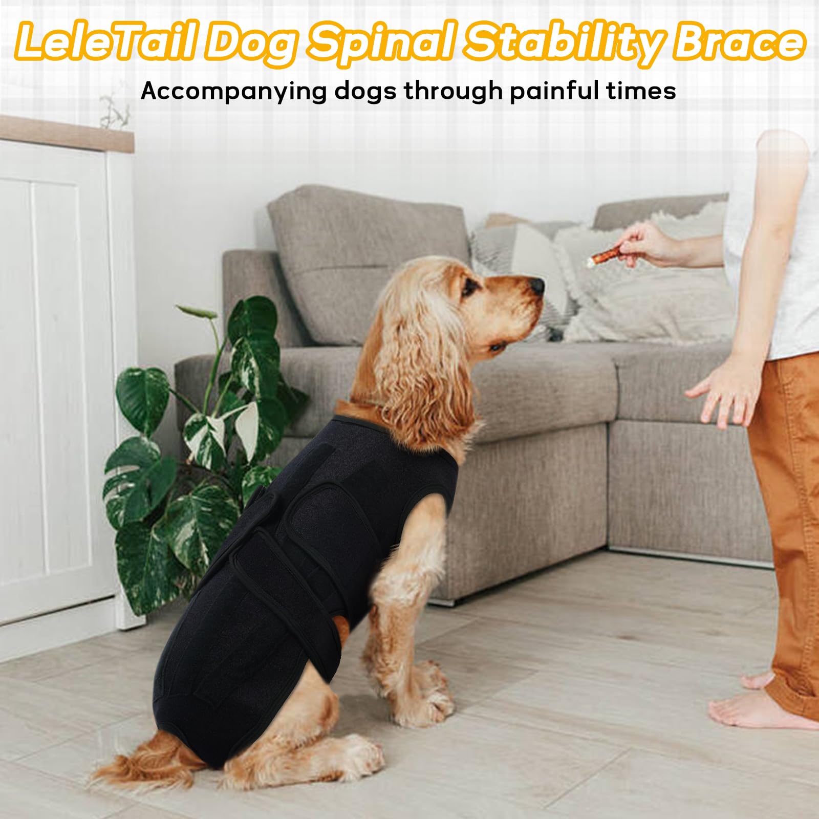 LeleTail removable rods allow safe machine washing after use