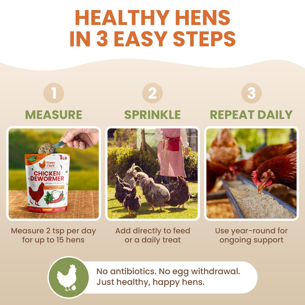Lemant year-round poultry care setup in a backyard coop