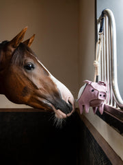 LeMieux hanging-rope stable toy highlights action and interactive engagement for longer stalls.