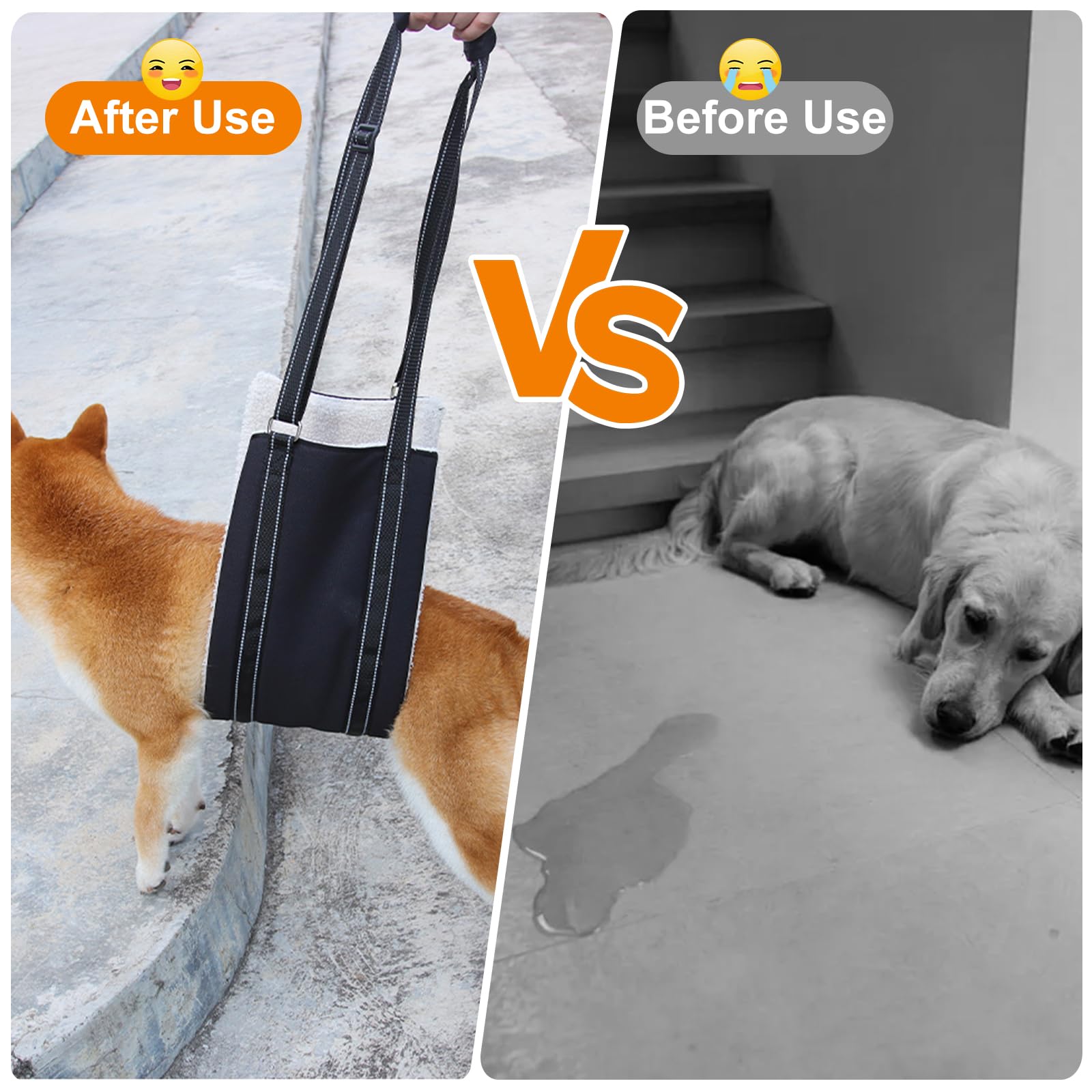 Lenpestia sling aids elderly dog mobility during stairs and vehicle entry.