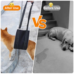 Lenpestia sling aids elderly dog mobility during stairs and vehicle entry.