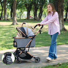 LENSEMUS detachable basket demonstrates easy carrier removal for quick pet transport.