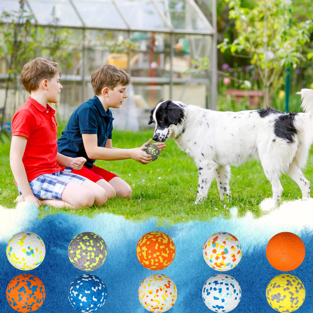 Lenwen dog ball bounce energy emphasis for active dogs.