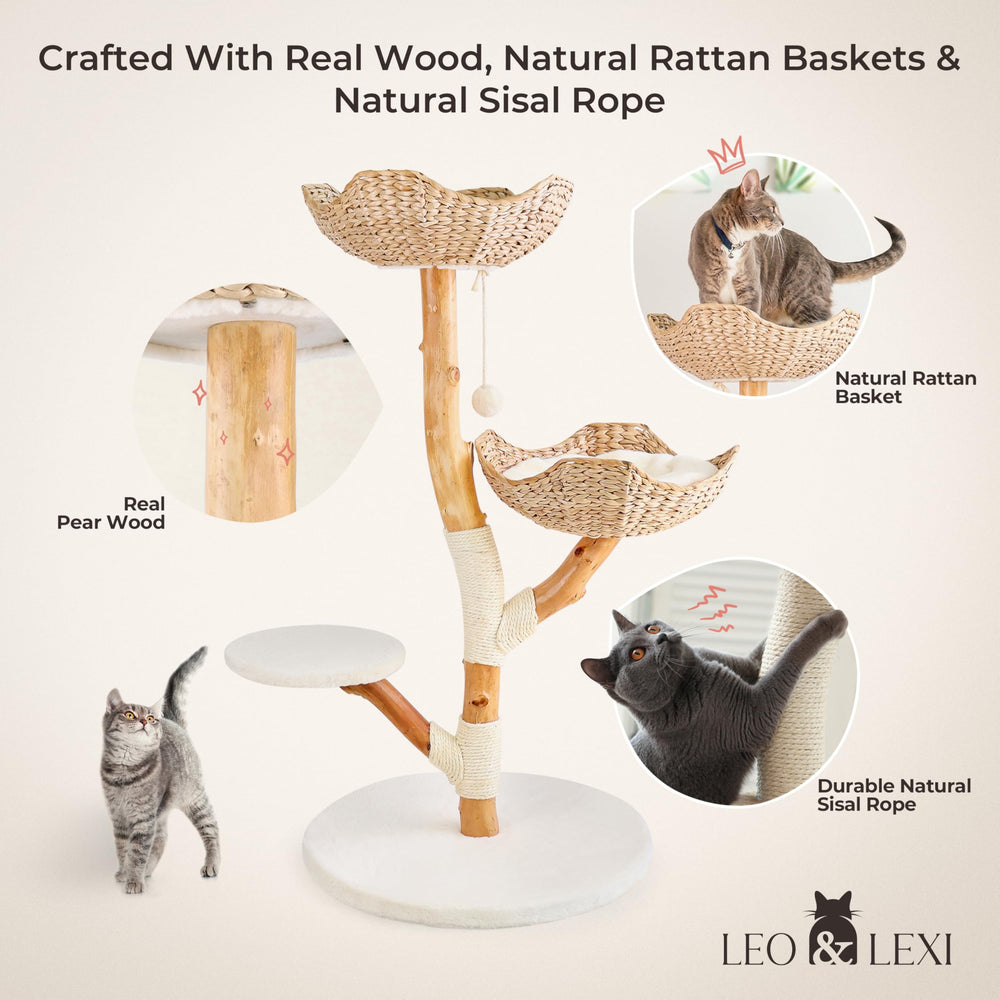 LEO & LEXI Cushioned Bed Nook offers soft lounging for cats after play.