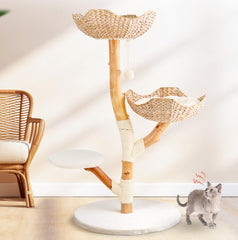 LEO & LEXI Real Wood Cat Tree Base—sturdy foundation for large indoor cats and confident play.