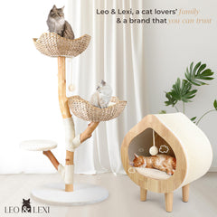 LEO & LEXI Sisal Rope Play Zone invites scratching and stretching without furniture damage.