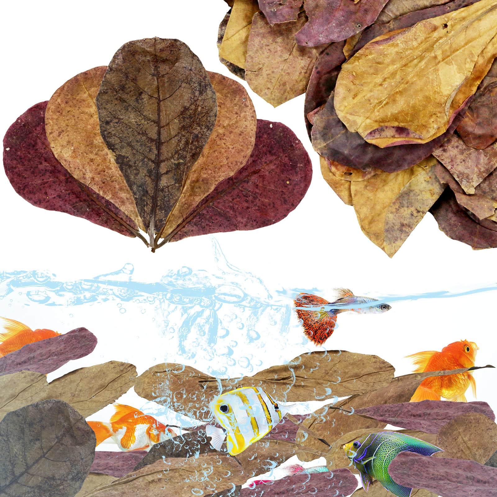 LeonBach Indian almond leaves pack — close-up texture for natural aquarium habitat and decor