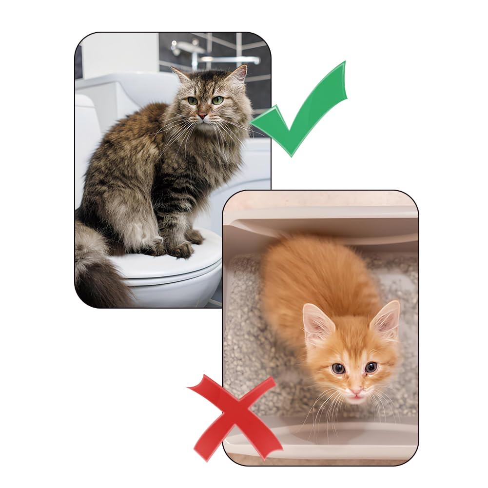 Leopacat easy-clean removable tray simplifies cleanup and maintenance