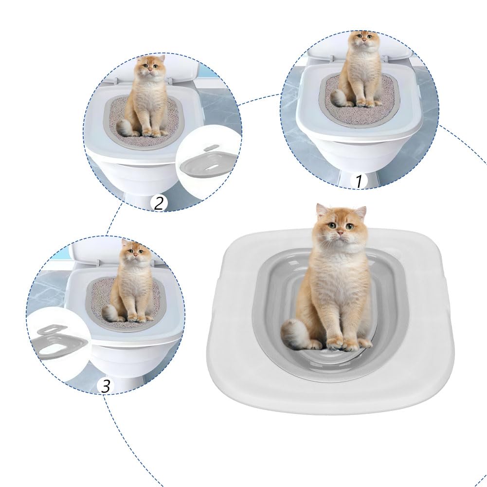 Leopacat removable pallet design enables easy disassembly and thorough cleaning after use