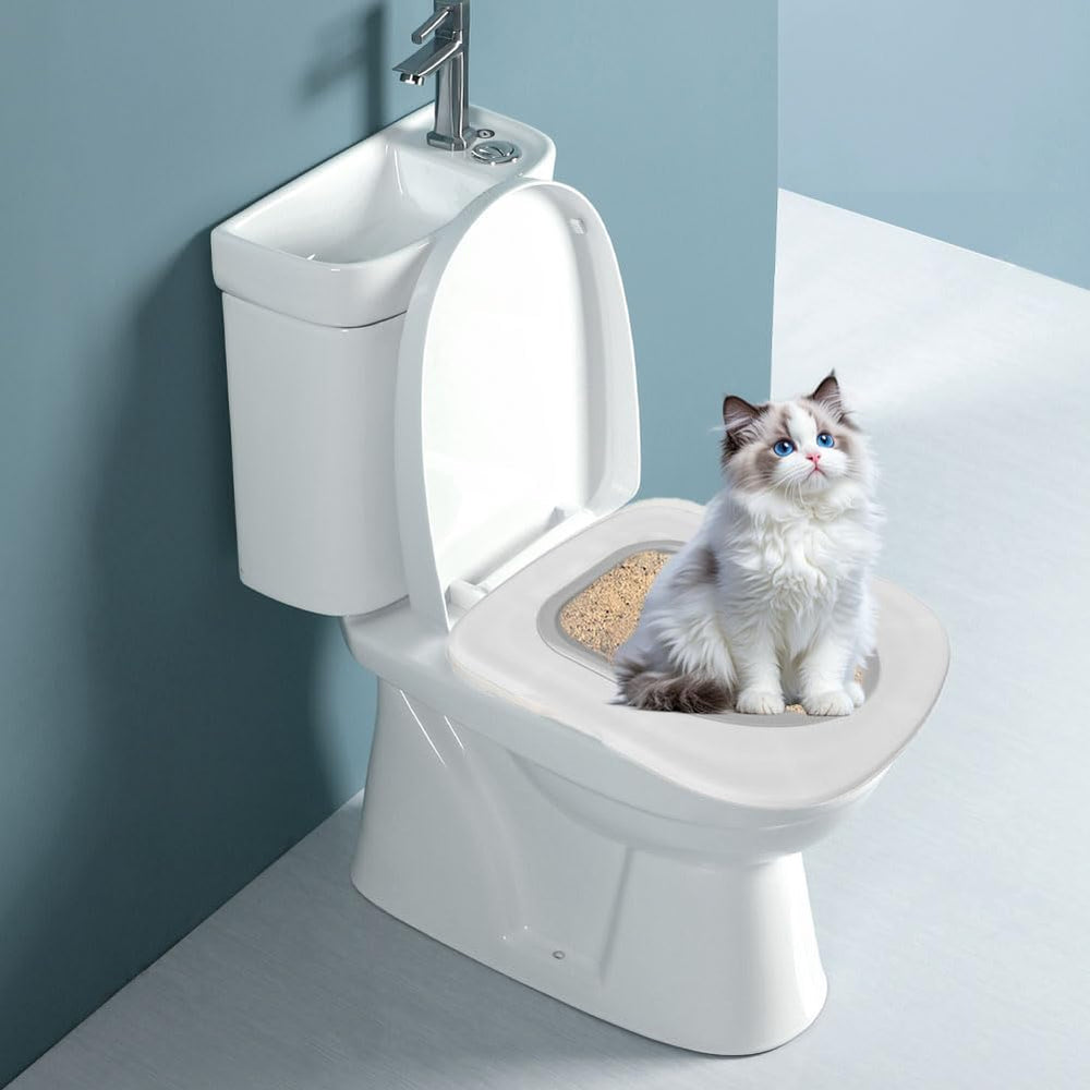 Leopacat trainer in use with cat shows practical, non-mess training in real homes