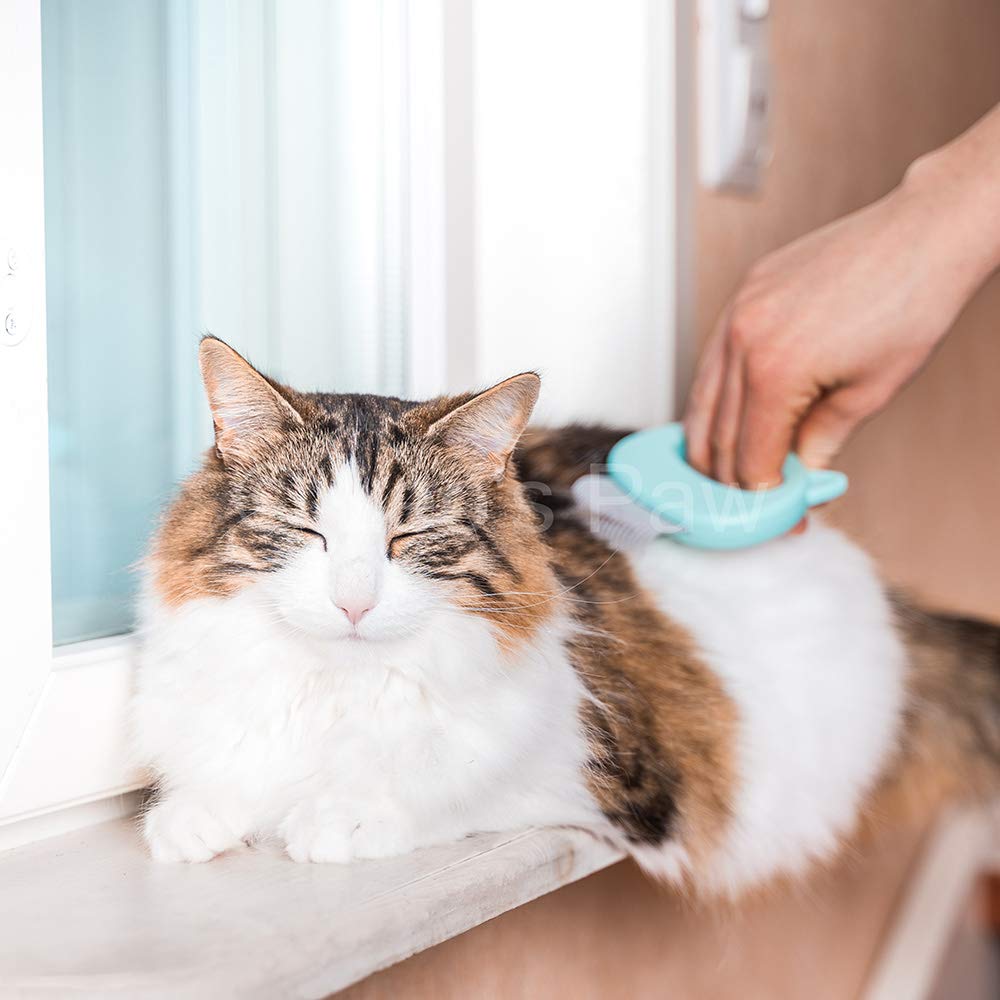 Leos Paw shell comb mint bunny care demonstrates gentle detangling for small pets.