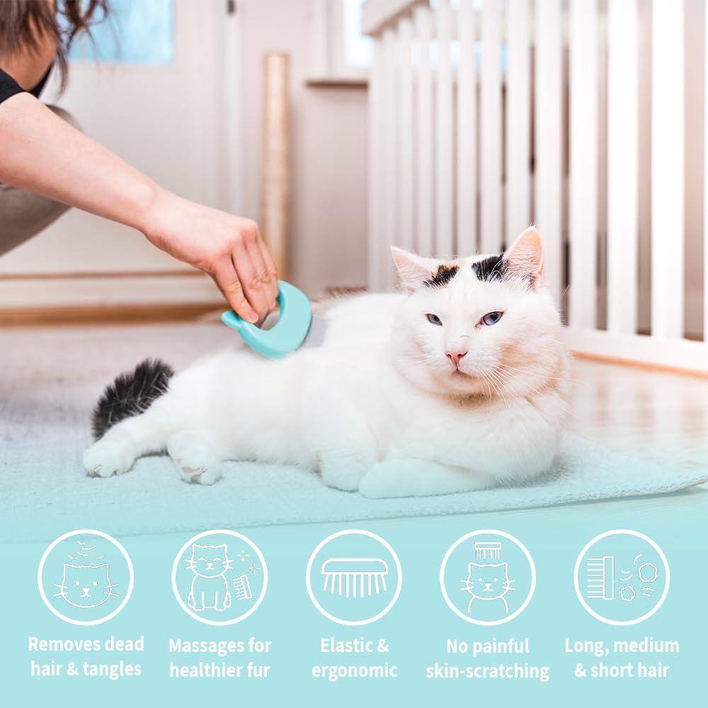 Leos Paw shell comb mint grooming session demonstrates soothing massage during brushing.