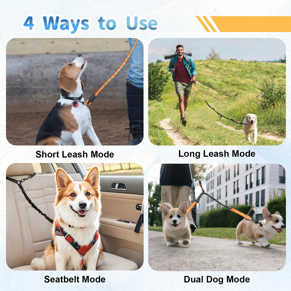 LEOSASA Car-seatbelt transform for secure car travel with dogs.