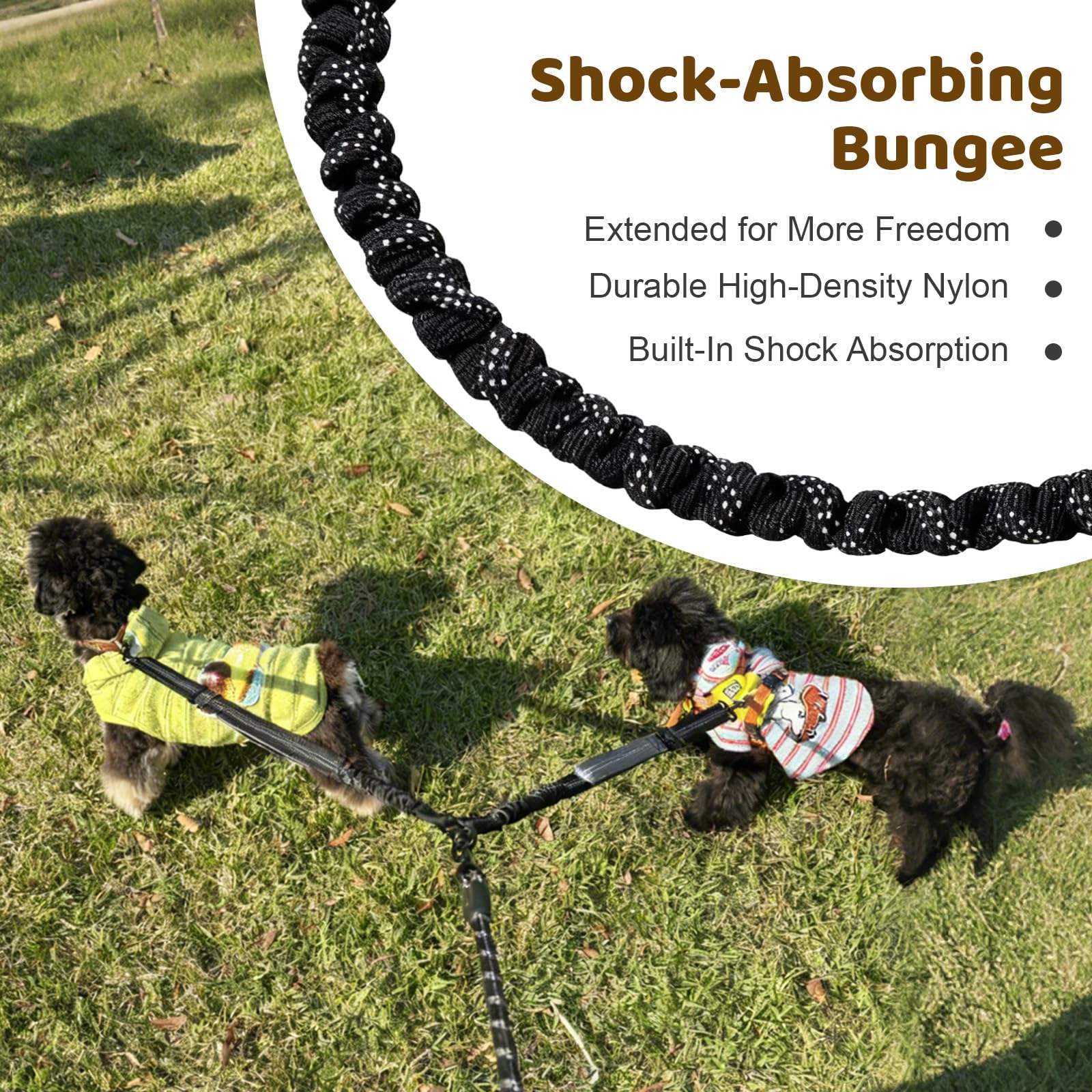 LEOSASA heavy-duty clip and durable nylon leash withstand daily walks and play