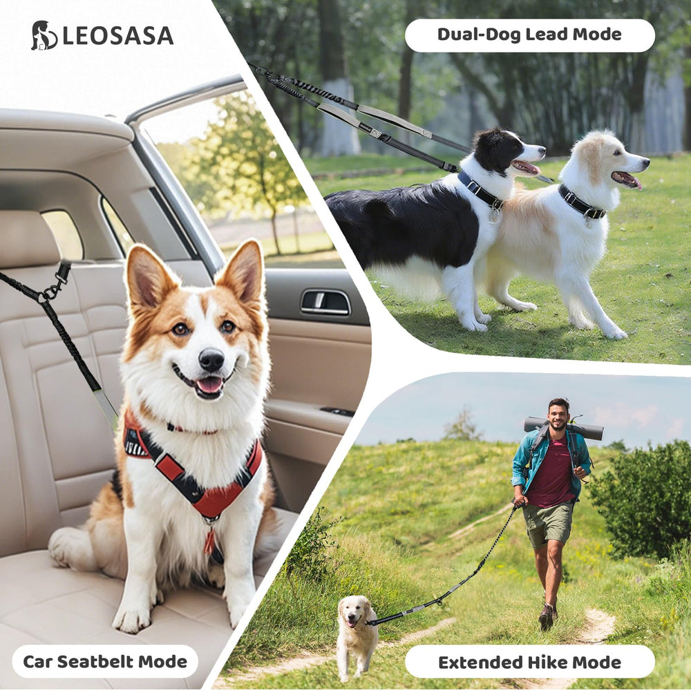 LEOSASA reflective straps enhance nighttime visibility for safer two-dog strolls