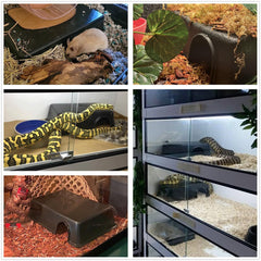 Refugio Leoterra para reptiles con sello superior que mantiene la humedad.