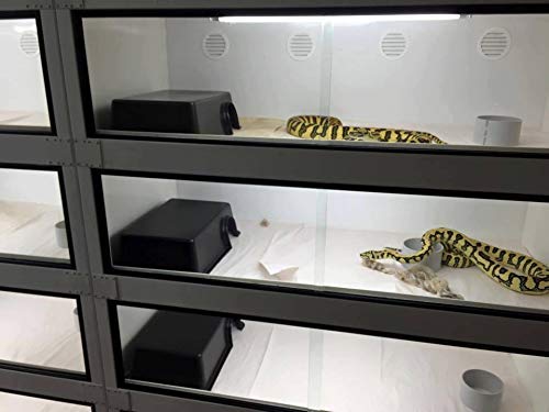 Leoterra tamaño M, ideal para serpientes pequeñas y geckos.
