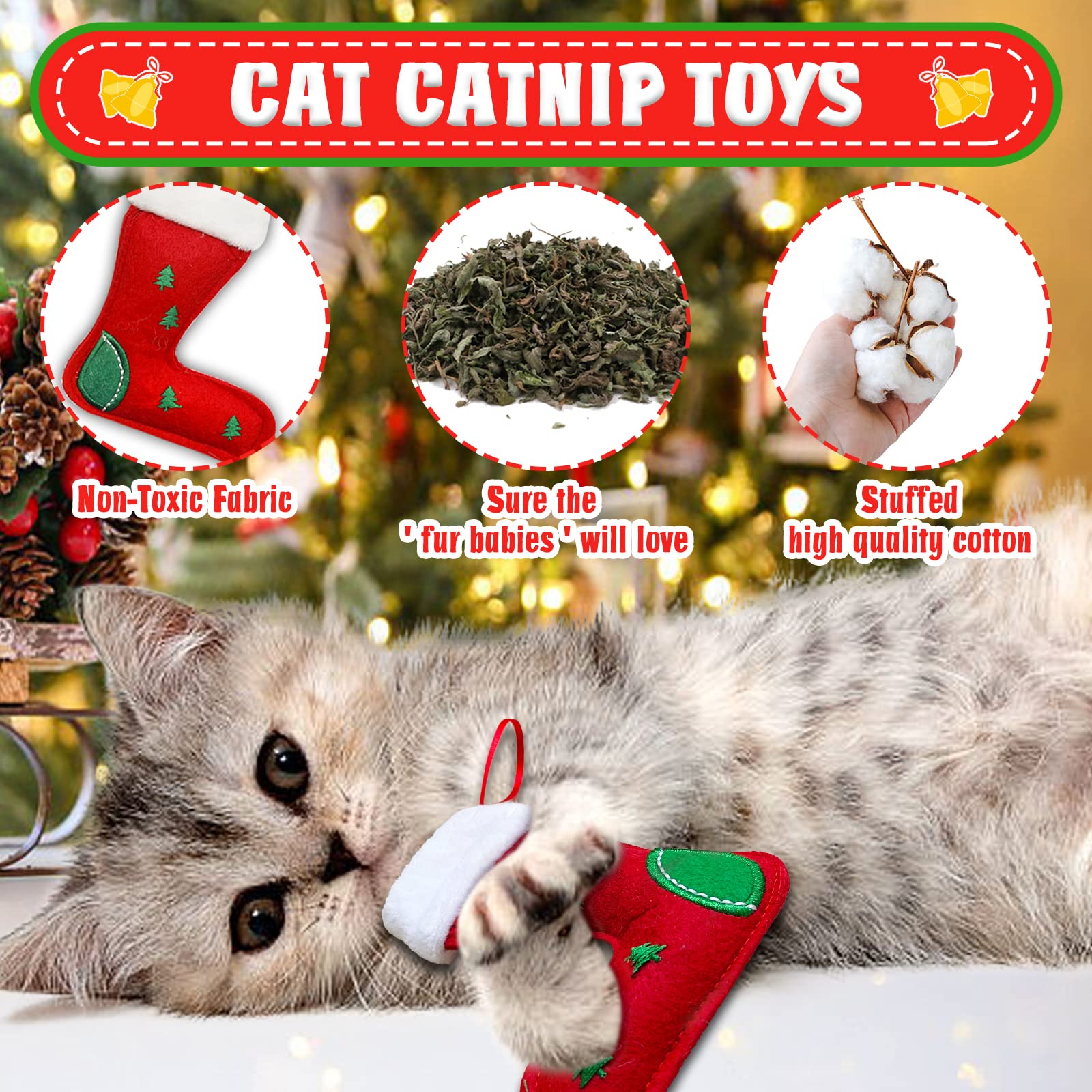 Lepawit Indoor Cat Playtime image highlights safe, durable toys