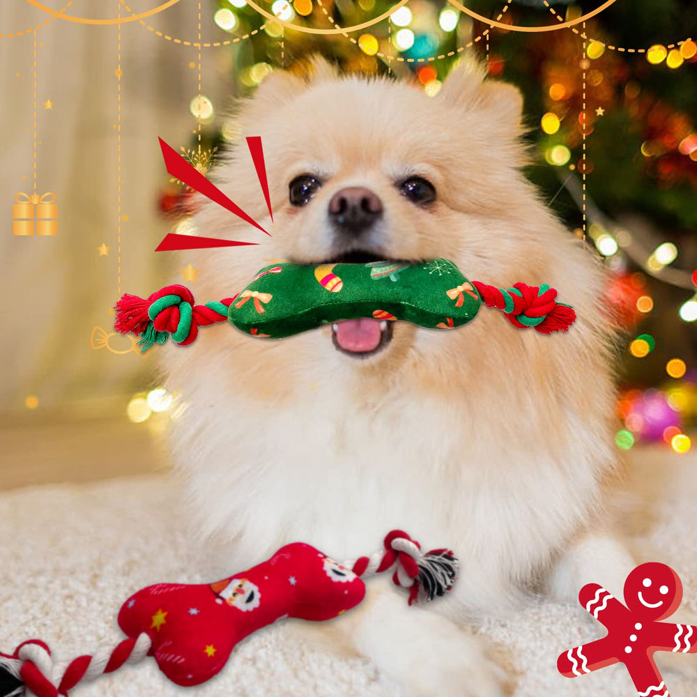 Lepawit dog-toy gift-pack ready for Christmas gifting and holiday joy.
