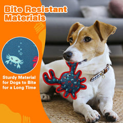 Lepawit interactive crab toy encourages interactive play and bonding during indoor games.