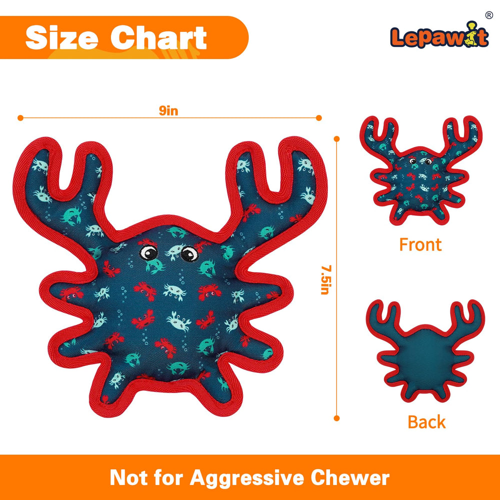 Safe materials emphasize non-toxic design for chews and gentle teething sessions.