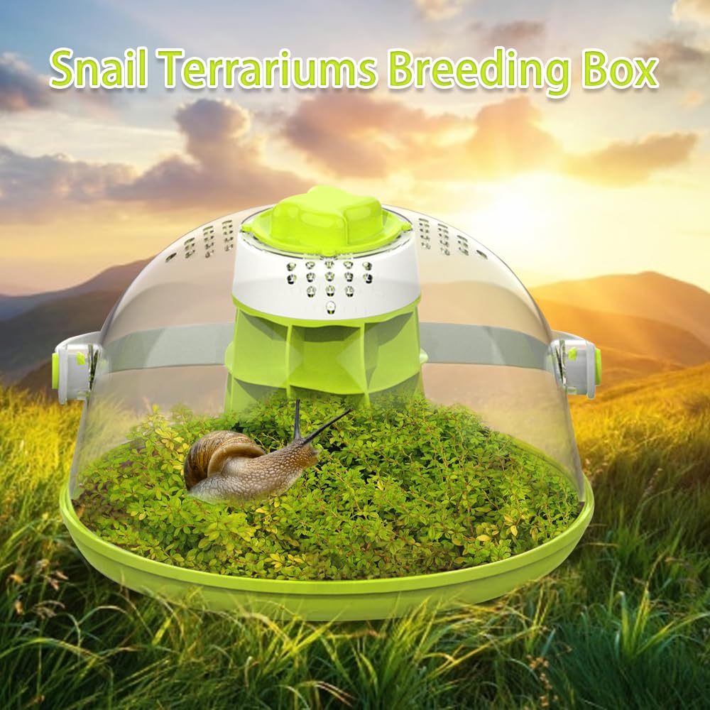 LepiBat Gems portable terrarium handle makes positioning easy on desk or shelf.