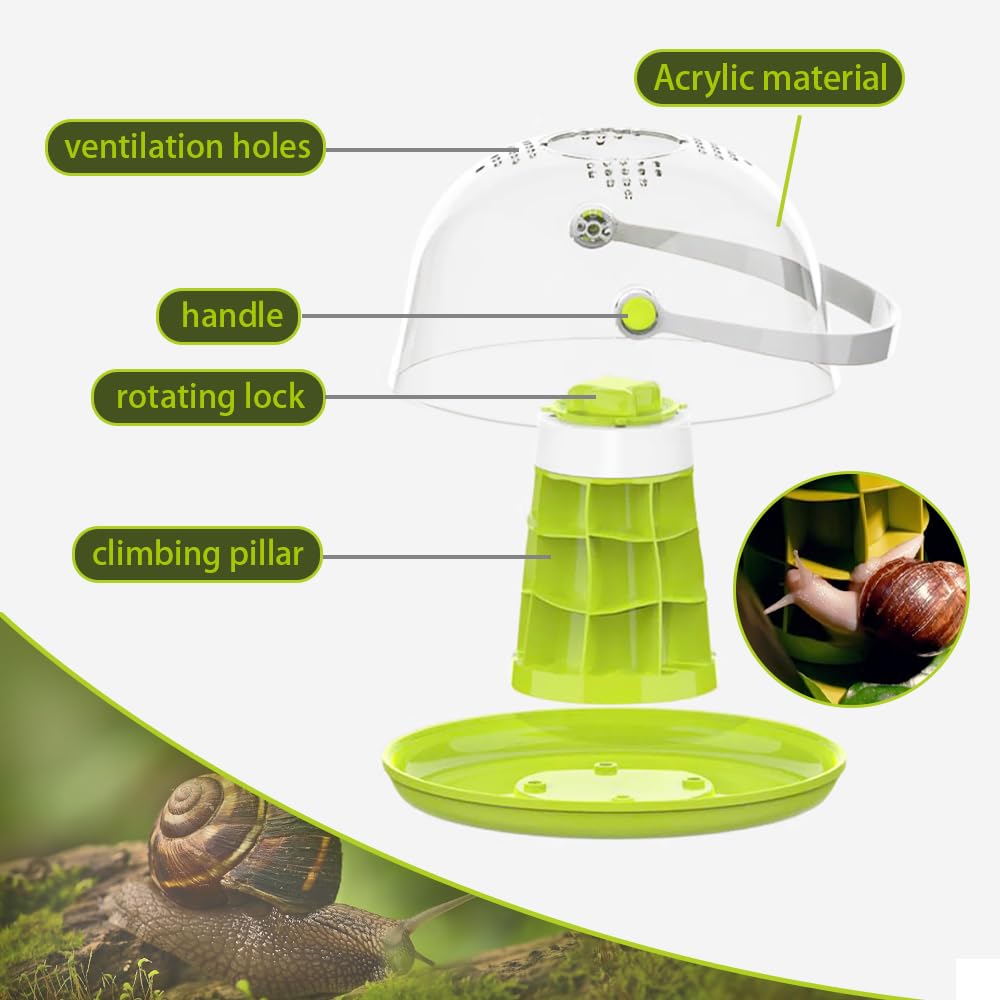 LepiBat Gems terrarium with ventilation holes enhances airflow in compact enclosure.