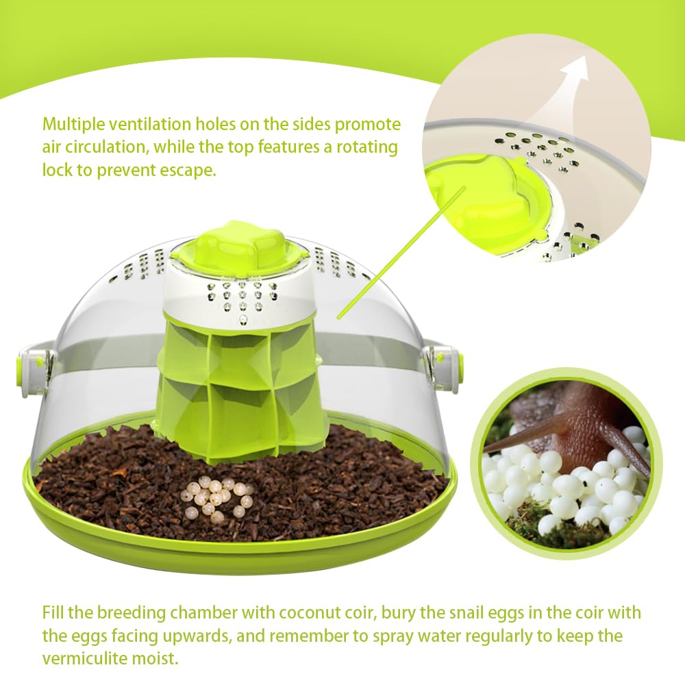 LepiBat Gems transparent feeding box showing clear view for watching feeding behavior.
